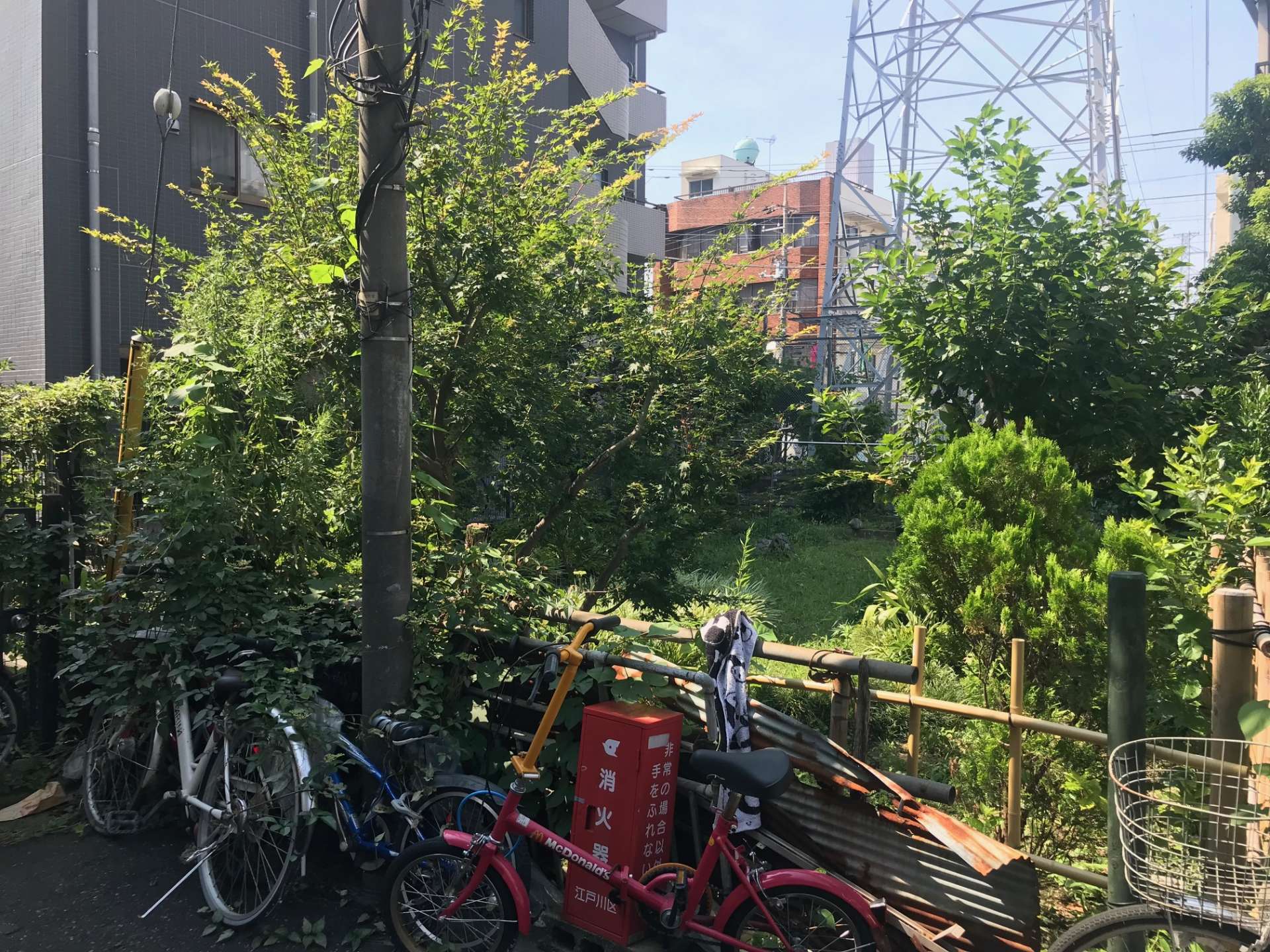 土地（借地権）